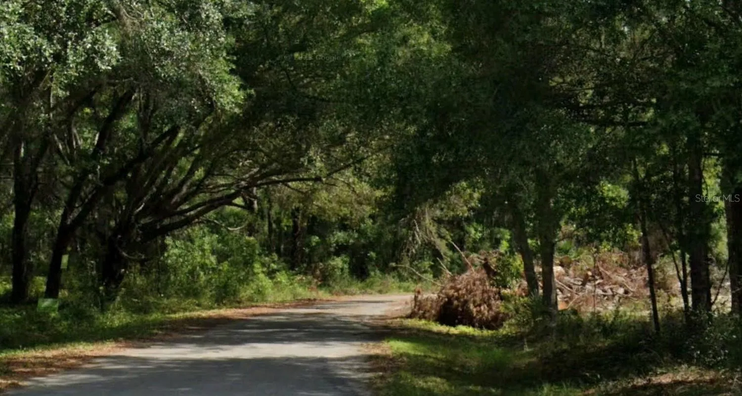 Sequoia Drive Radl, Ocklawaha, Florida 32179, ,Land,For Sale,SEQUOIA DRIVE,O6236154