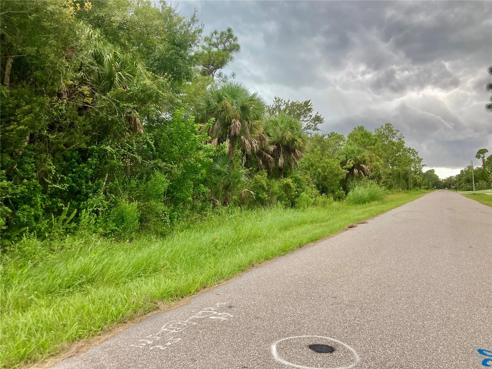 26373 & 26377 Deer Rd, Punta Gorda, Florida 33955, ,Land,For Sale,DEER,C7497190