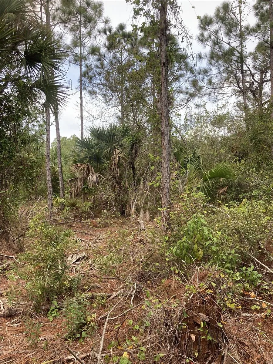 26373 & 26377 Deer Rd, Punta Gorda, Florida 33955, ,Land,For Sale,DEER,C7497190
