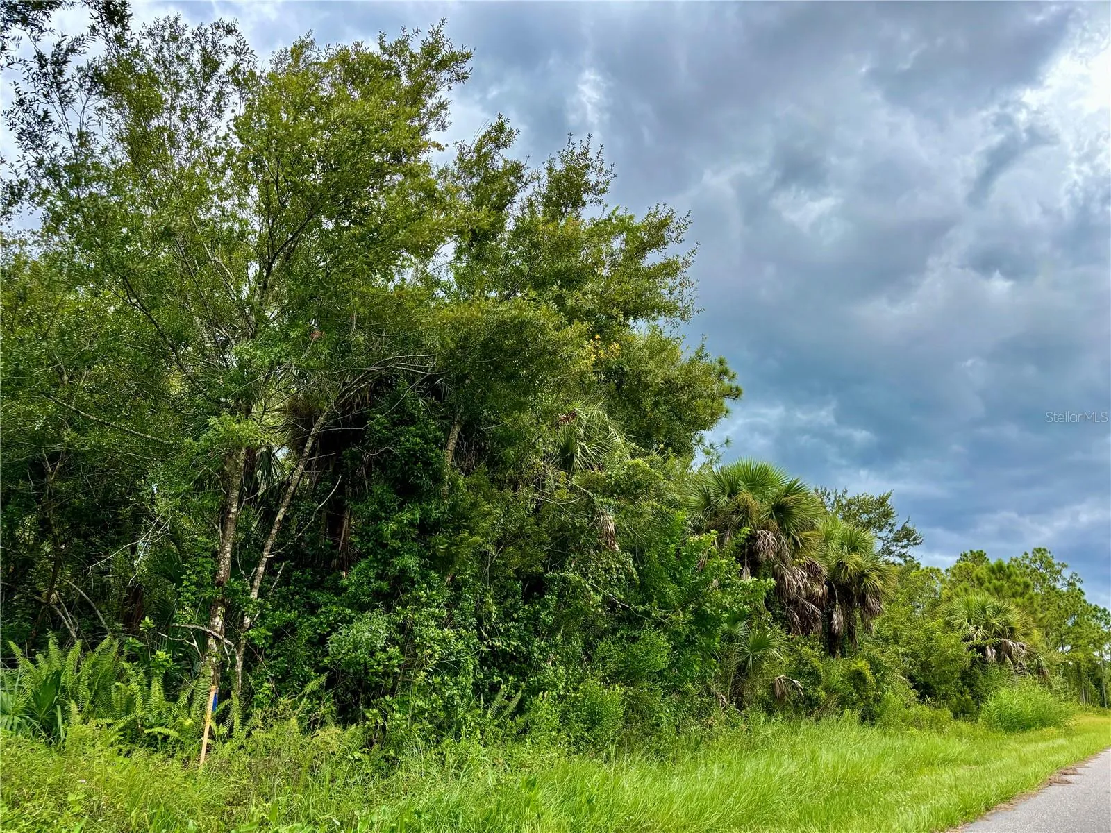 26373 & 26377 Deer Rd, Punta Gorda, Florida 33955, ,Land,For Sale,DEER,C7497190