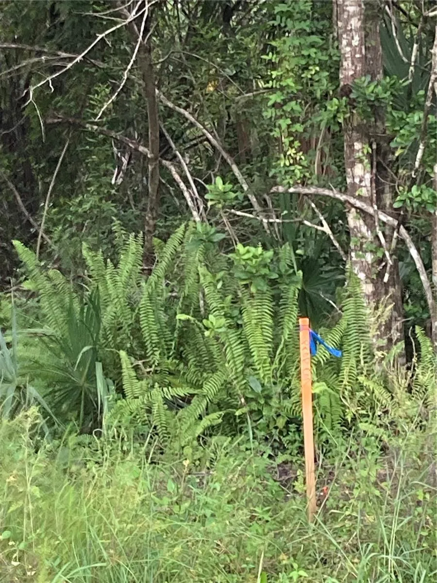 26373 & 26377 Deer Rd, Punta Gorda, Florida 33955, ,Land,For Sale,DEER,C7497190
