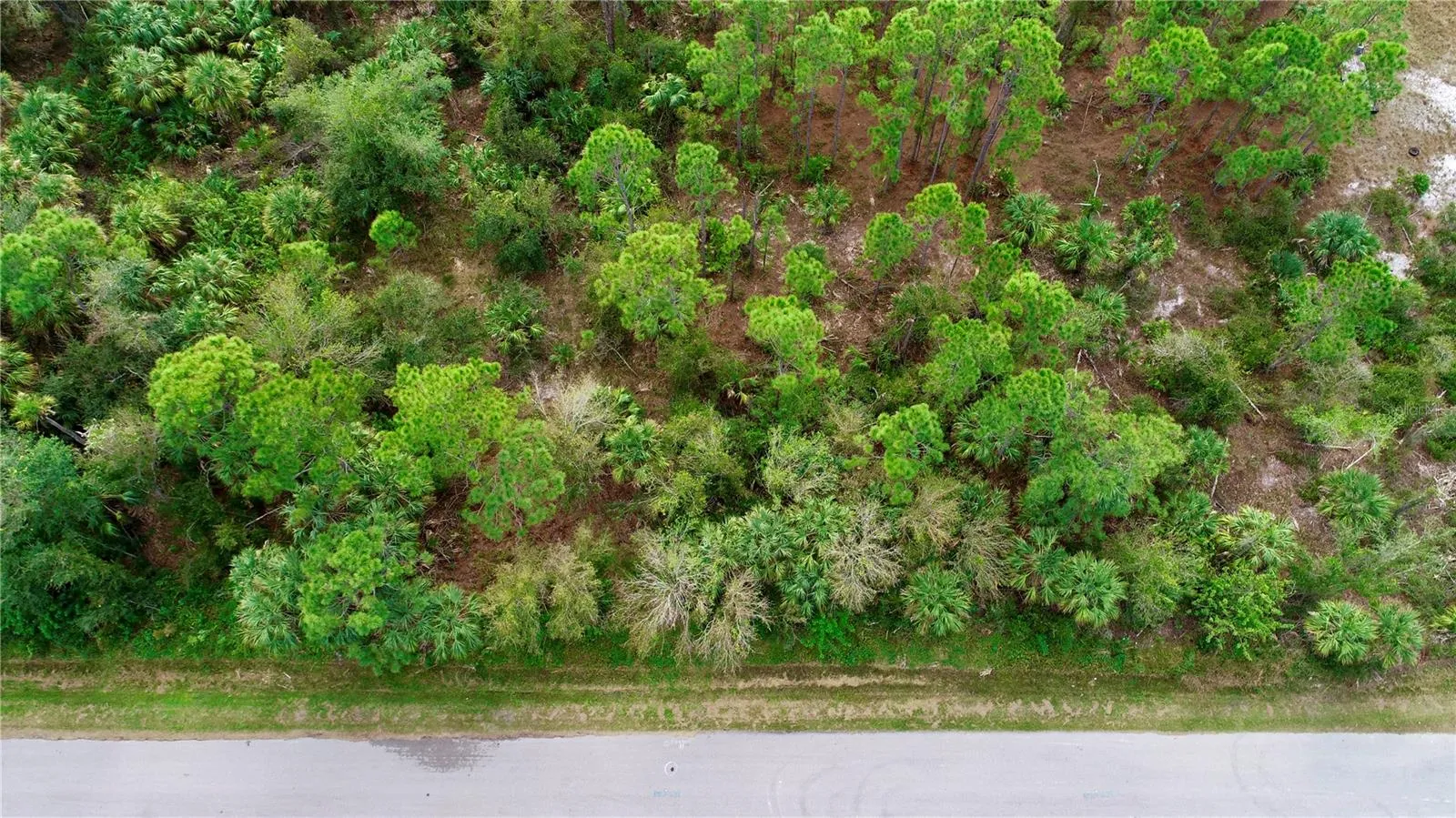 26373 & 26377 Deer Rd, Punta Gorda, Florida 33955, ,Land,For Sale,DEER,C7497190