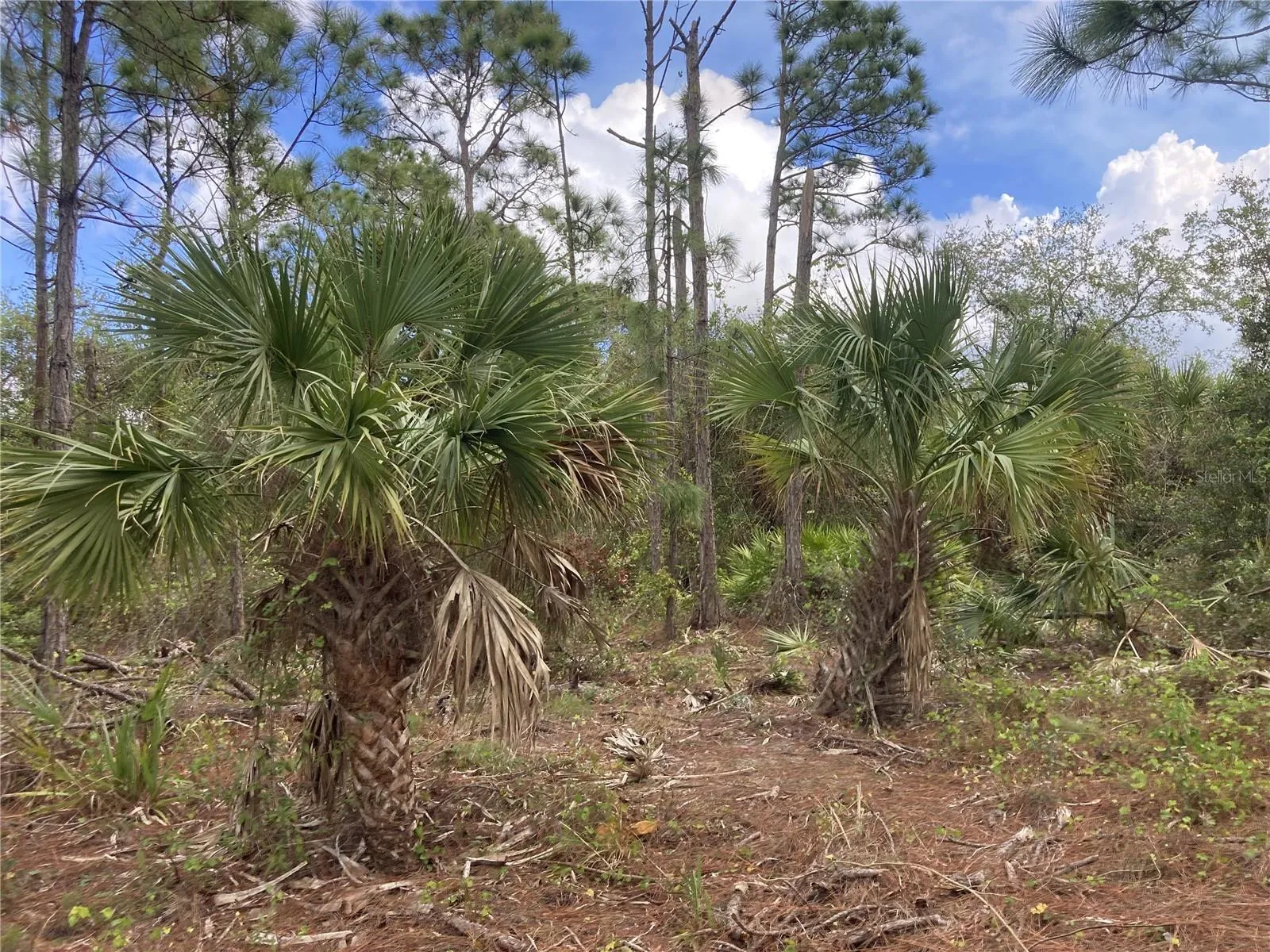 26373 & 26377 Deer Rd, Punta Gorda, Florida 33955, ,Land,For Sale,DEER,C7497190