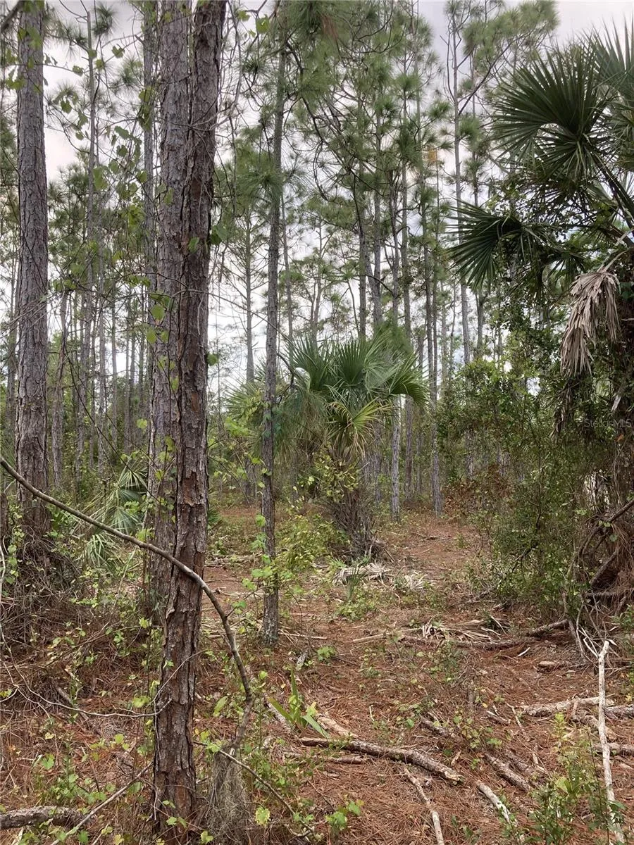 26373 & 26377 Deer Rd, Punta Gorda, Florida 33955, ,Land,For Sale,DEER,C7497190