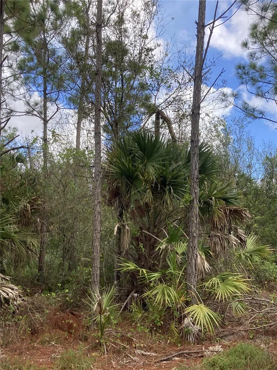 26373 & 26377 Deer Rd, Punta Gorda, Florida 33955, ,Land,For Sale,DEER,C7497190