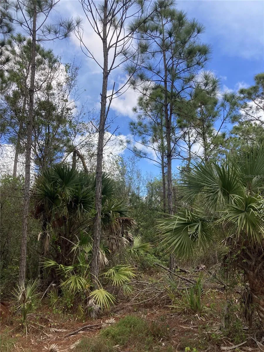 26373 & 26377 Deer Rd, Punta Gorda, Florida 33955, ,Land,For Sale,DEER,C7497190