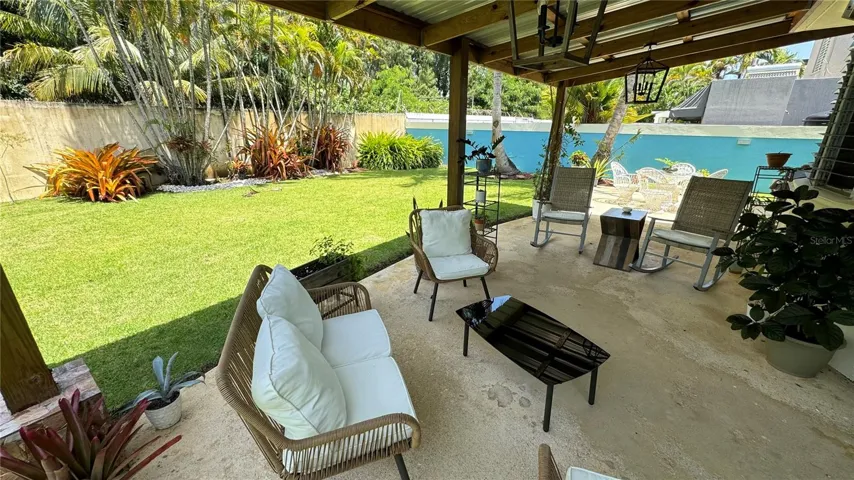 Backyard 4