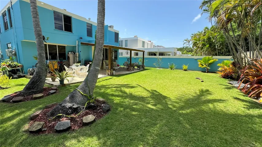 Backyard 2