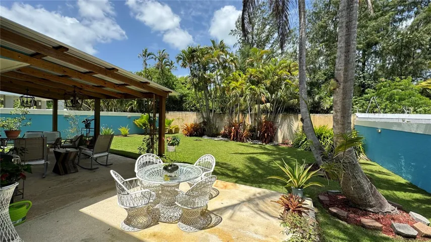 Backyard 3