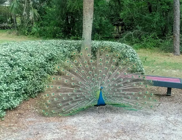 1170