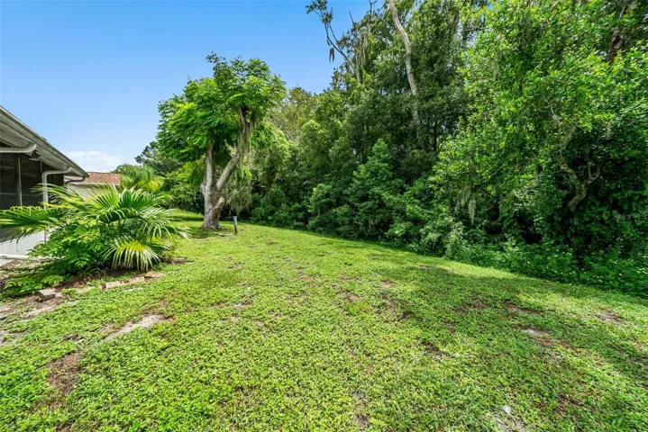 Beautiful back yard