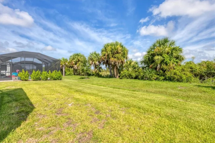 Nice green lawn