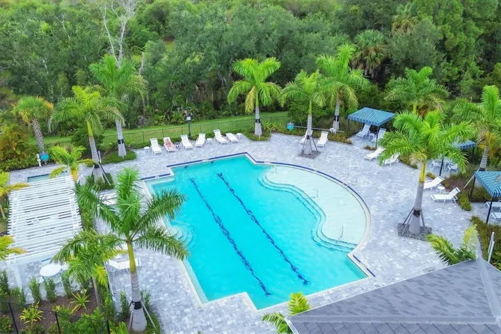 Swim laps or relax