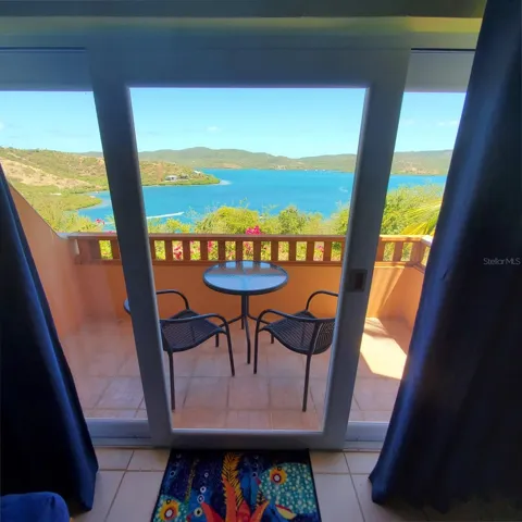 View from Living Room