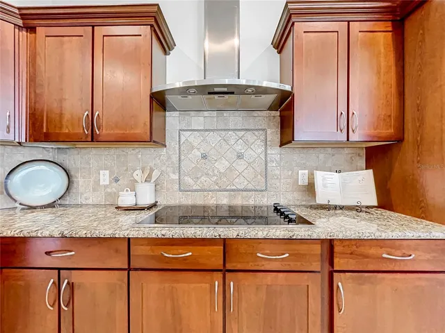 Cook top w/hood