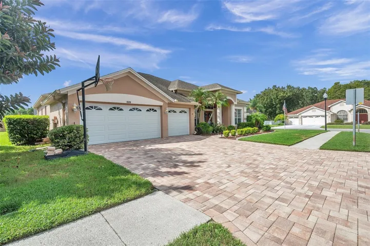 Driveway View