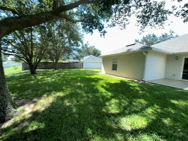 Back Yard