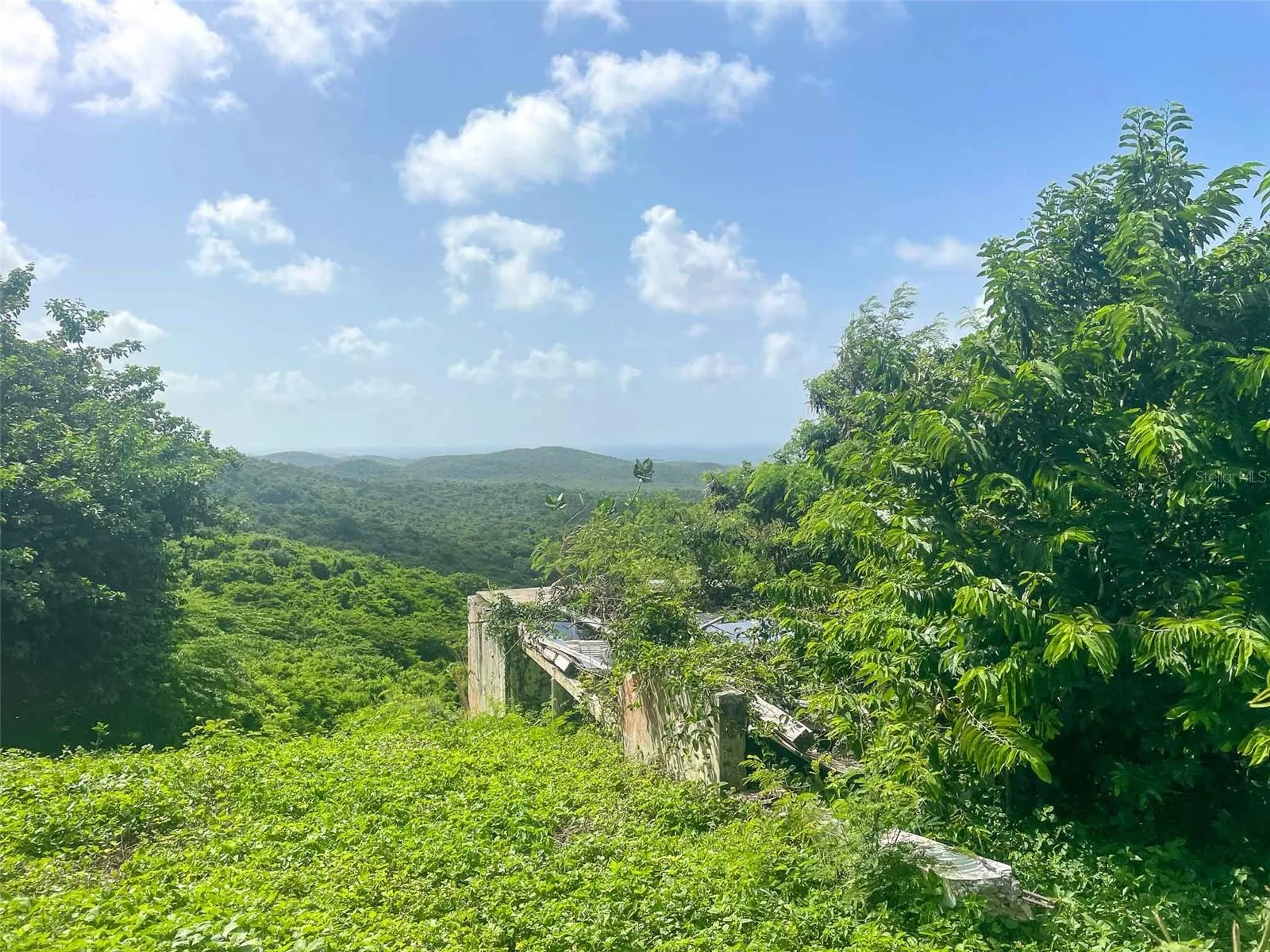 309 Calle Papo Foster, Vieques, Puerto Rico 00765, ,Land,For Sale,CALLE PAPO FOSTER,PR9108803