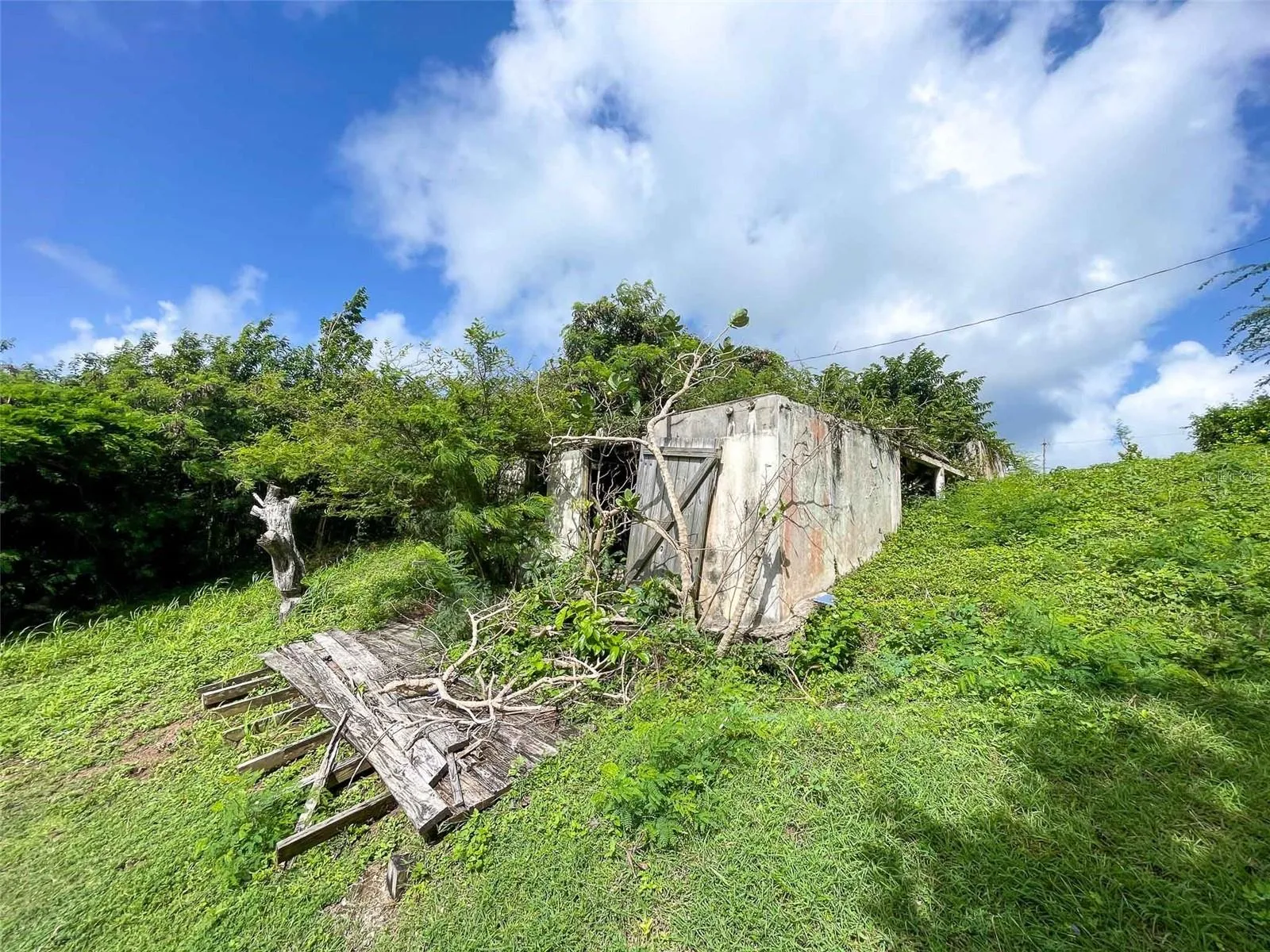309 Calle Papo Foster, Vieques, Puerto Rico 00765, ,Land,For Sale,CALLE PAPO FOSTER,PR9108803