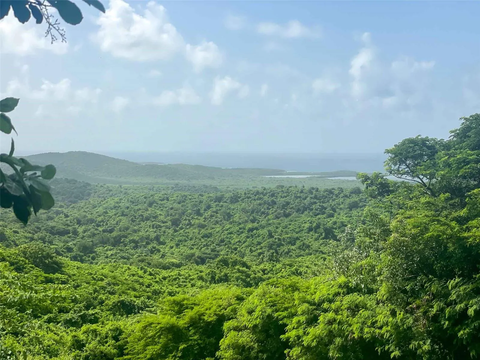 309 Calle Papo Foster, Vieques, Puerto Rico 00765, ,Land,For Sale,CALLE PAPO FOSTER,PR9108803