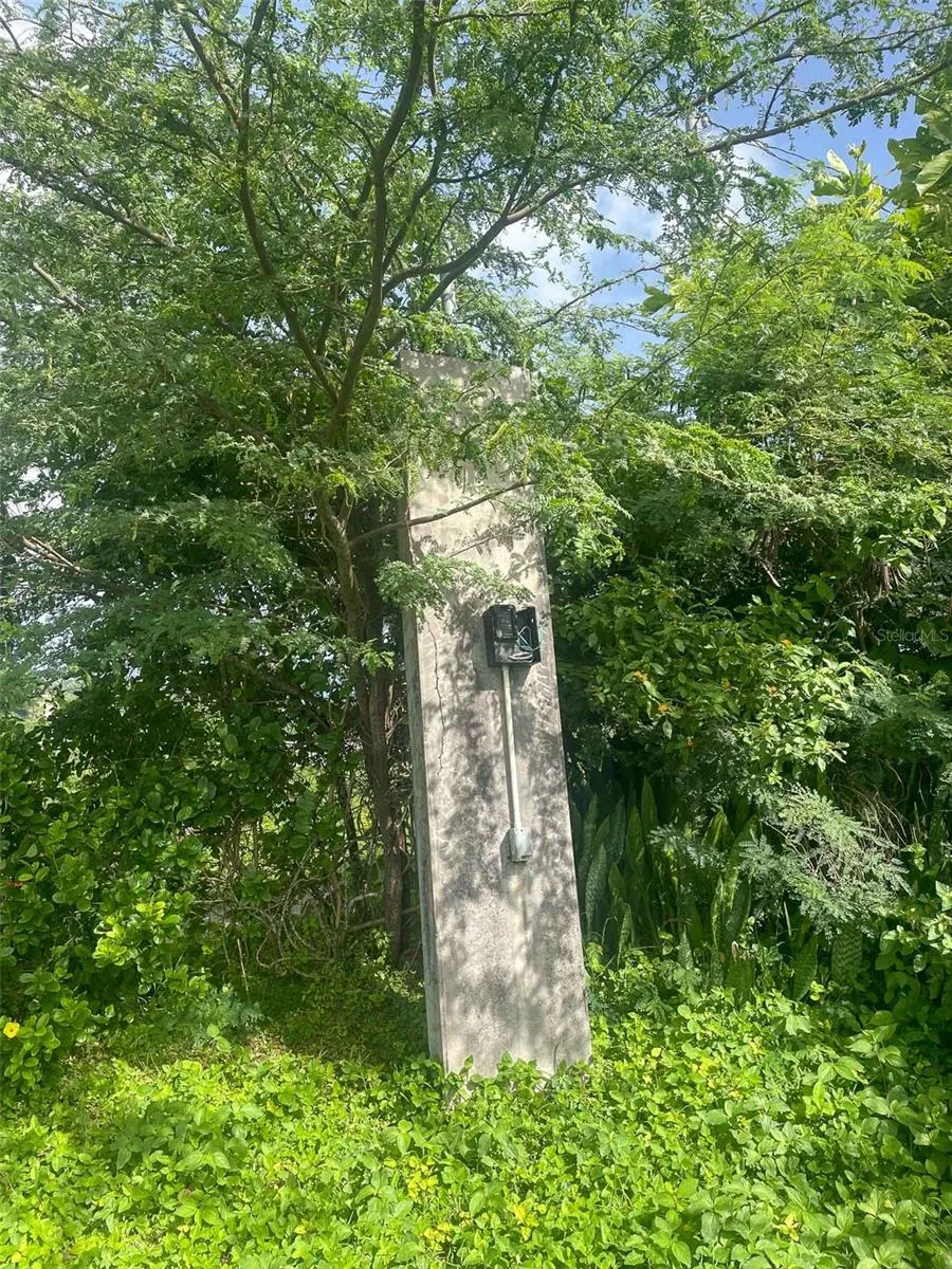 309 Calle Papo Foster, Vieques, Puerto Rico 00765, ,Land,For Sale,CALLE PAPO FOSTER,PR9108803