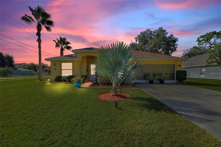 Front View Sunset