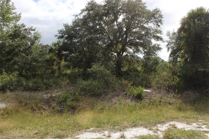 Beautiful mature oak trees line the front of the lot