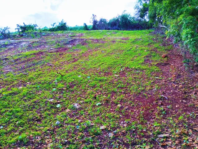 Vacan Land
