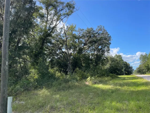 From Telephone Pole back to neighbors house line