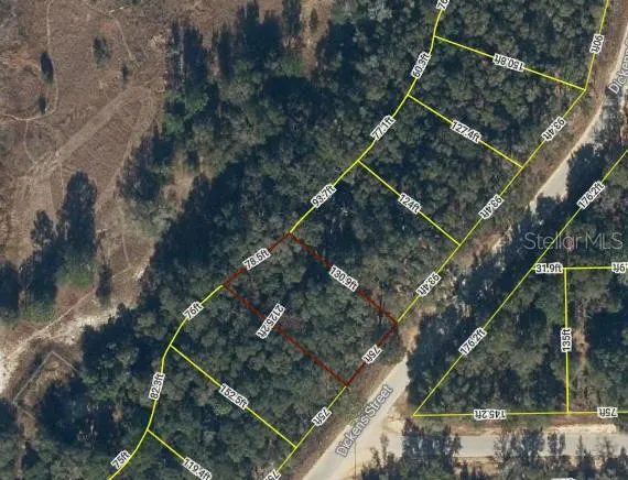 Satellite Photo of Property from iMapp