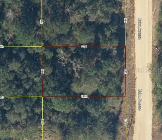 Satellite Photo of Property from iMapp