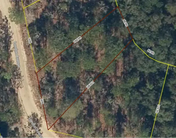 Satellite Photo of Property from iMapp