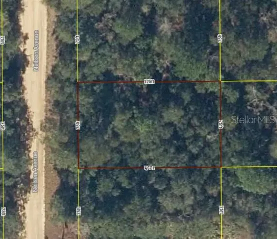 Satellite Photo of Property From iMapp