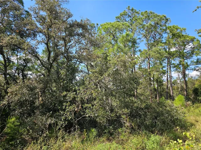 Double lot for sale in the Orange Blossom area of Sebring, FL.