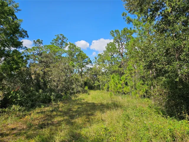 Imagine yourself living in a secluded area, but a short distance of State Road 66 and US why 27.