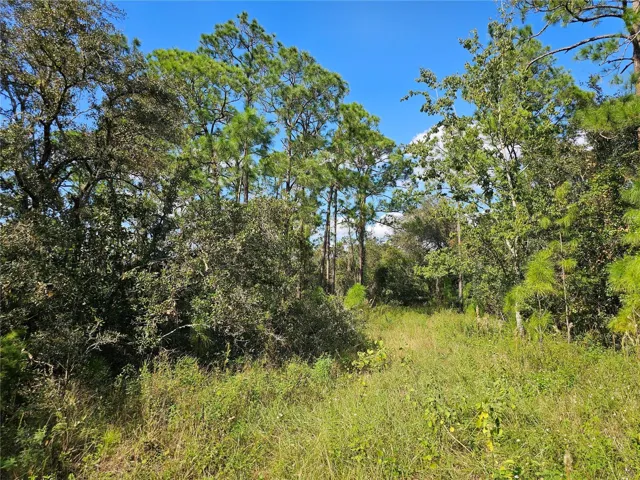 Live in paradise, buy this 1/4 acre for $15,000.