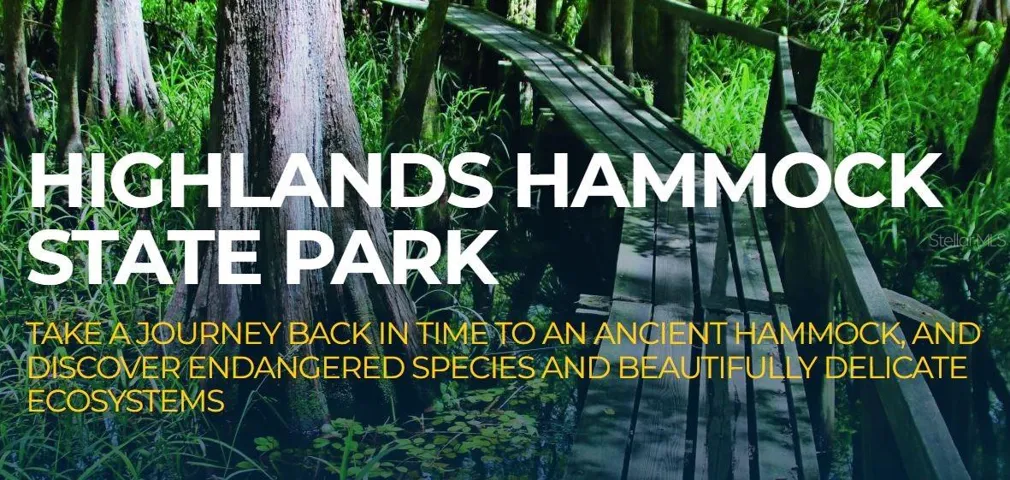 There are many lakes and nature trails you can visit, like Highlands Hammock State Park.