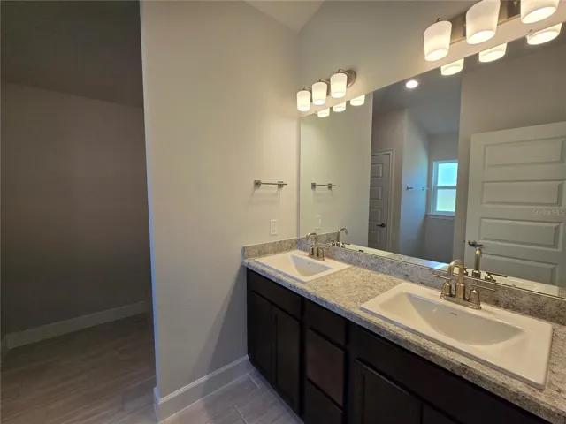 main bath dual sink