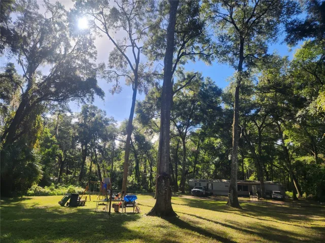 Front Yard