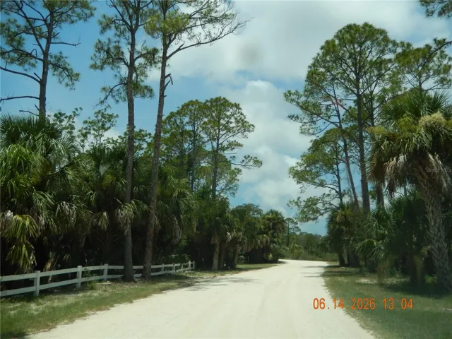 VIEW ALONG PLANTATION DRIVE