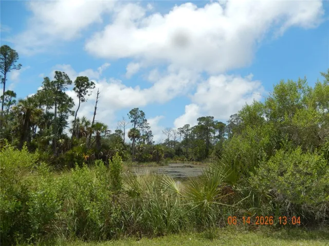 VIEW ALONG PLANTATION DRIVE