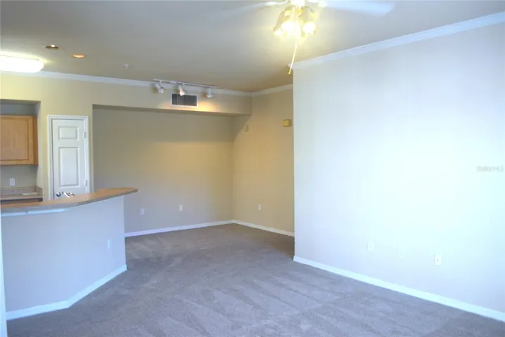 Combo Dining and Living Room