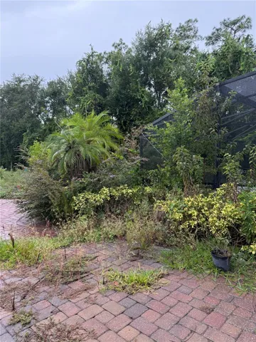 Current condition of the property