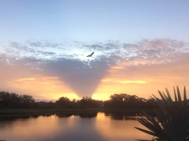 Peaceful morning sunrise