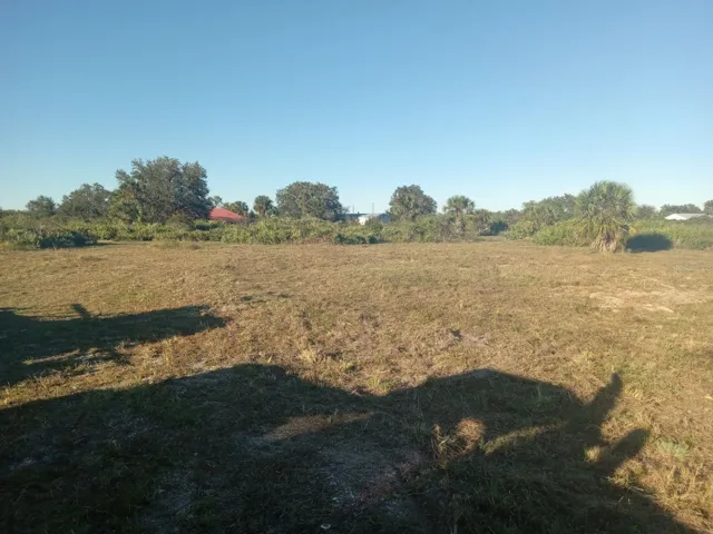 Property is 80% cleared