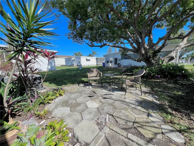 Back patio
