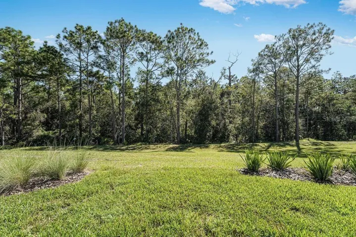 919 Tassleflower Trail ~ Ready Now