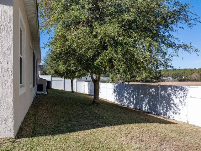 Back Yard 2