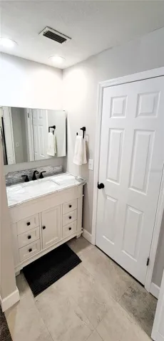 Updated Primary Bath Vanity