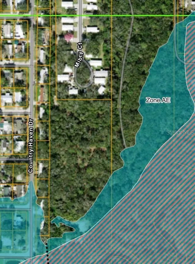 X and AE flood zones